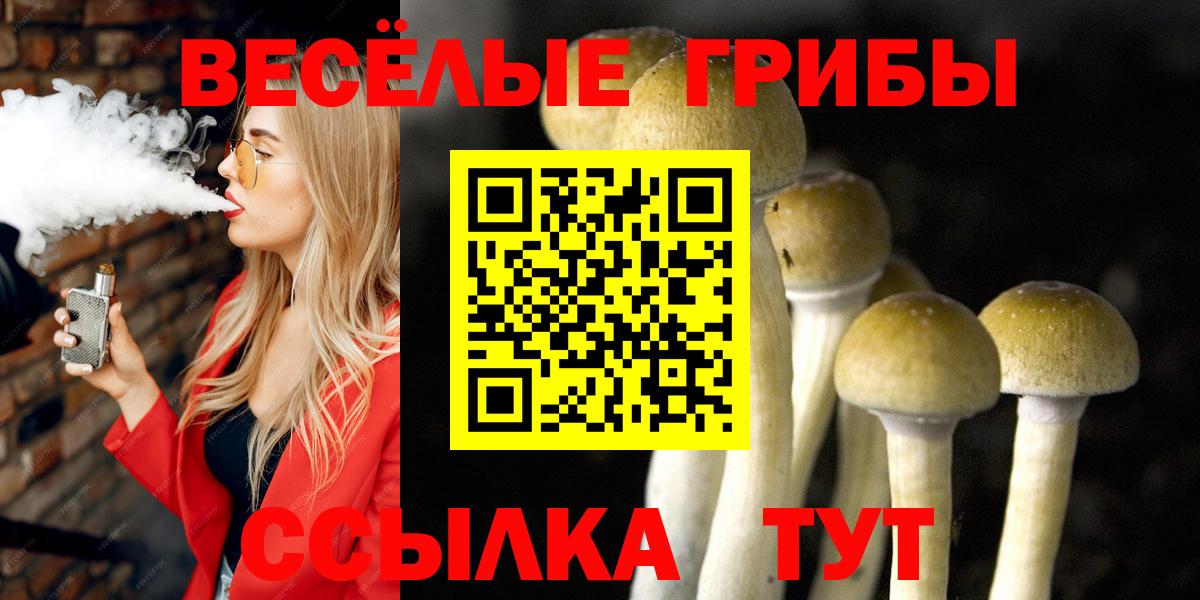 Кольчугино  Галлюциногенные грибы Cubensis  Вход с VPN  Псилоцибиновые грибы прущие грибы 